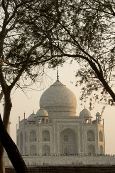 taj
